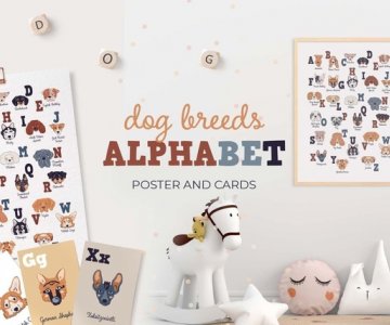 Free alphabet poster file 501