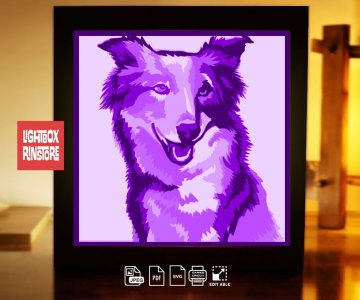 Free Border-collie-paper-light-box 906