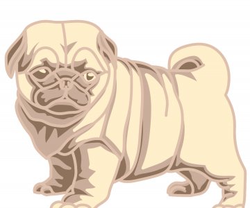 Free layered pug files 428