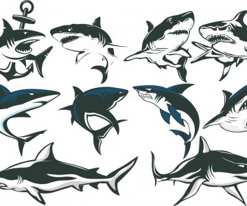 Free Silhouettes shark files 933